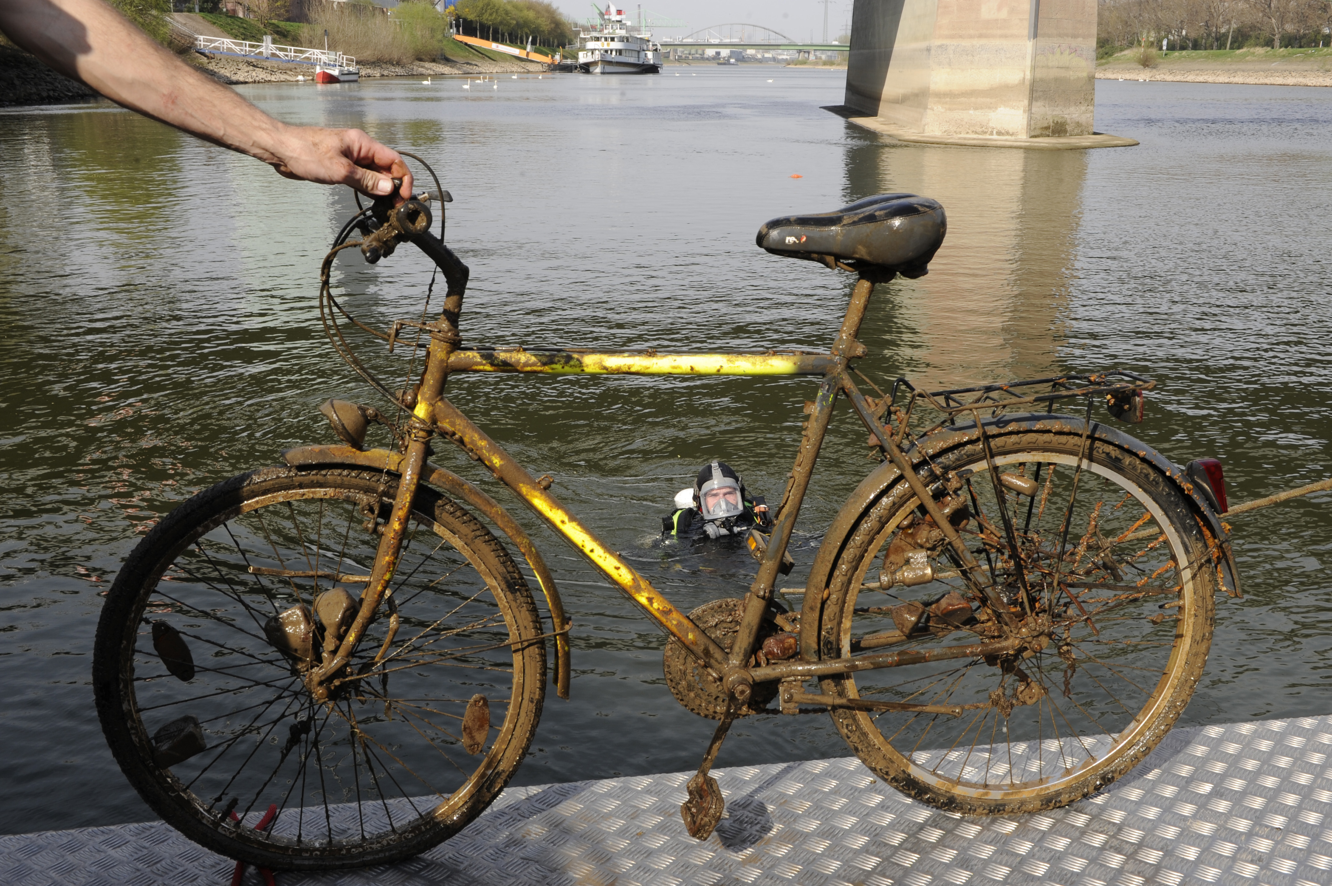 fahrrad stadler mannheim neckarau