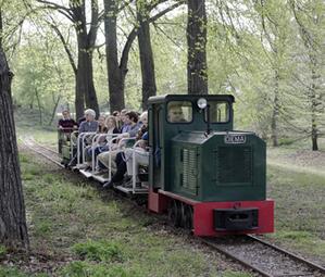 Vergrößerte Ansicht von diesem Bild