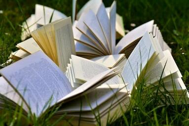 Vergrößerte Ansicht von Foto von fünf aufgeklappten Büchern, die im Gras liegen