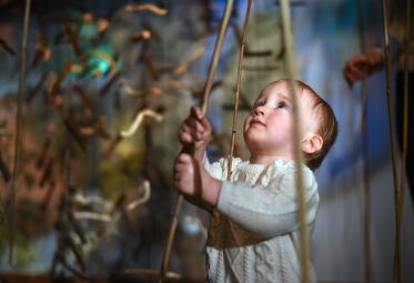 Vergrößerte Ansicht von Ein Kleinkind blickt nach oben, während es an einem Stock zieht.