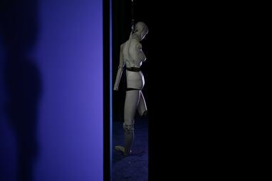Vergrößerte Ansicht von Durch einen Spalt ist ein Mannequin zu erkennen, dessen Gliedmaßen entweder völlig verdreht oder nicht vorhanden sind.