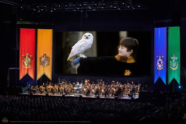 Vergrößerte Ansicht von Harry Potter und der Stein der Weisen™ - In Concert