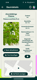 Vergrößerte Ansicht von Screenshot der App Urban ReLeaf - Mannheims Bäume - Baumdetails eines Baumes: Baumart, Standort, weitere Attribute