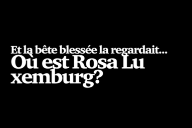 Vergrößerte Ansicht von Et la bête blessée la regardait… Où est Rosa Luxemburg? - Eine deutsch-französische Spurensuche