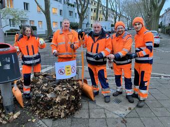 Vergrößerte Ansicht von diesem Bild