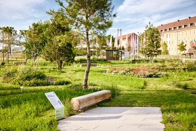 Vergrößerte Ansicht von Gastarbeiter-Denkmal im Spinelli-Park, Mannheim: Ein liegender Baumstamm im Grünen, davor eine kleine Platzfläche, daneben eine Info-Tafel