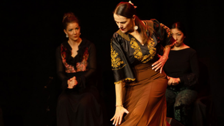 Vergrößerte Ansicht von Mi Mundo Flamenco