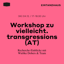 Vergrößerte Ansicht von Workshop zu &quot;vielleicht. transgressions (AT)&quot;