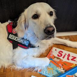 Vergrößerte Ansicht von Ein weißer Hund schaut lieb in die Kamera. Vor ihm liegt ein Kinderbuch.