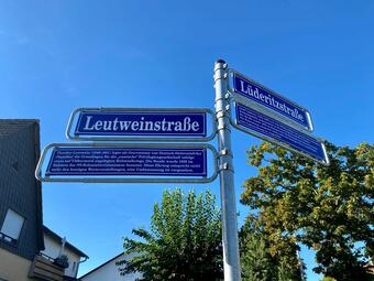 Vergrößerte Ansicht von Straßenumbenennung Rheinau-Süd