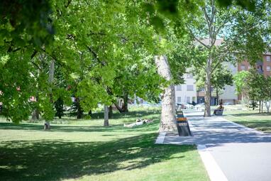 Vergrößerte Ansicht von Ein Weg mit einer Bank unter Bäumen im Glückstein-Park