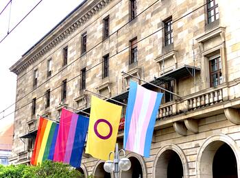 Beflaggung am Rathaus zum Internationalen Tag gegen LSBTI-Feindlichkeit