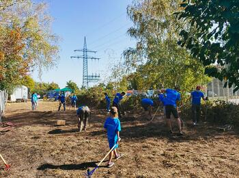 Freiwilligentag der Metropolregion Rhein-Neckar 2020 - Käfertal Urban Gardening