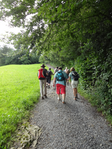 Kräuterwanderung im Waldpark