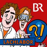 Lachlabor